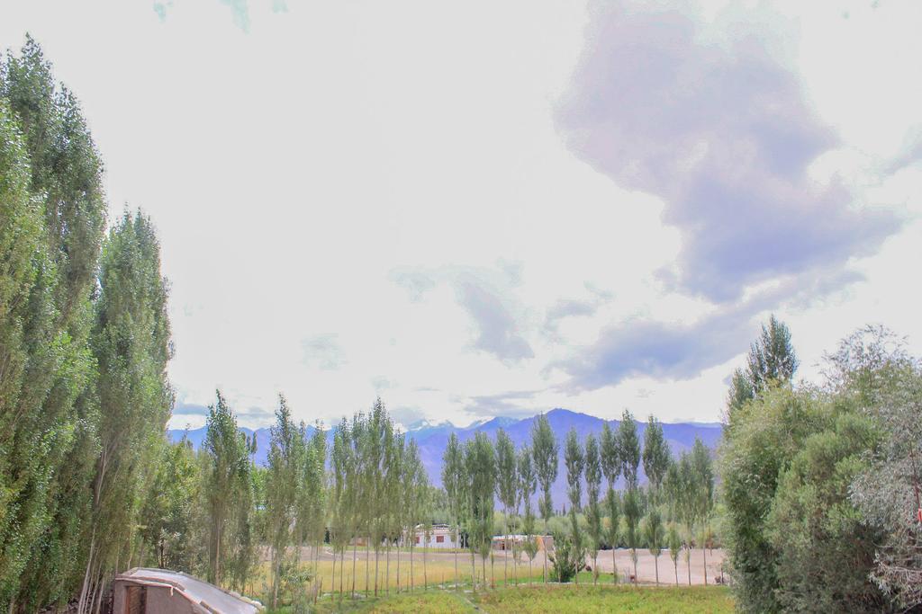 Tsetan Guest House Лех Экстерьер фото